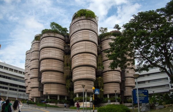 國境之南的建築啟蒙與觀察