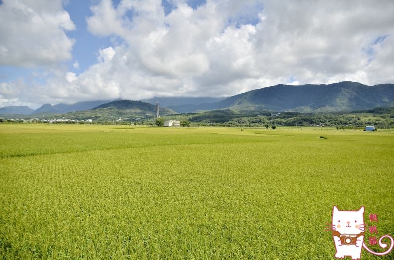 圖片帆帆貓提供