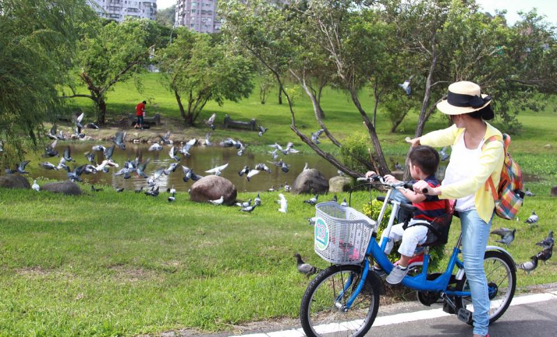 陽光運動公園生態池常有鴿群聚集,也是親子族群不容錯過的景色呢!(陳德偉攝影)