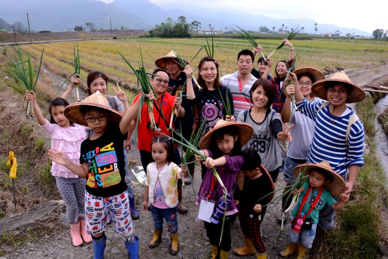 蔥仔寮體驗農場,一起下田體驗拔蔥趣。(管延海攝影)