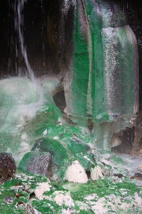 栗松溫泉有台灣最美野溪溫泉之稱，白色石灰華與綠色青藻組成多變地景。（圖片提供／小柏）
