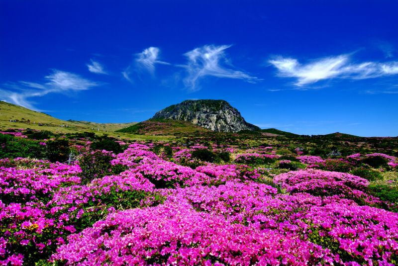 （圖／Republic of Korea@Flickr）