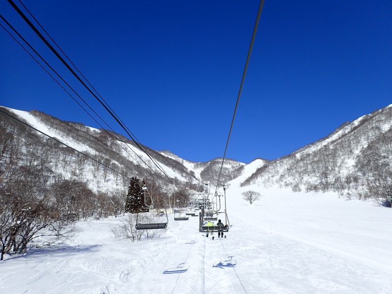 白馬Cortina雪場(娜塔蝦 攝)