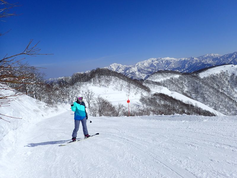 白馬Cortina雪場(娜塔蝦 攝)