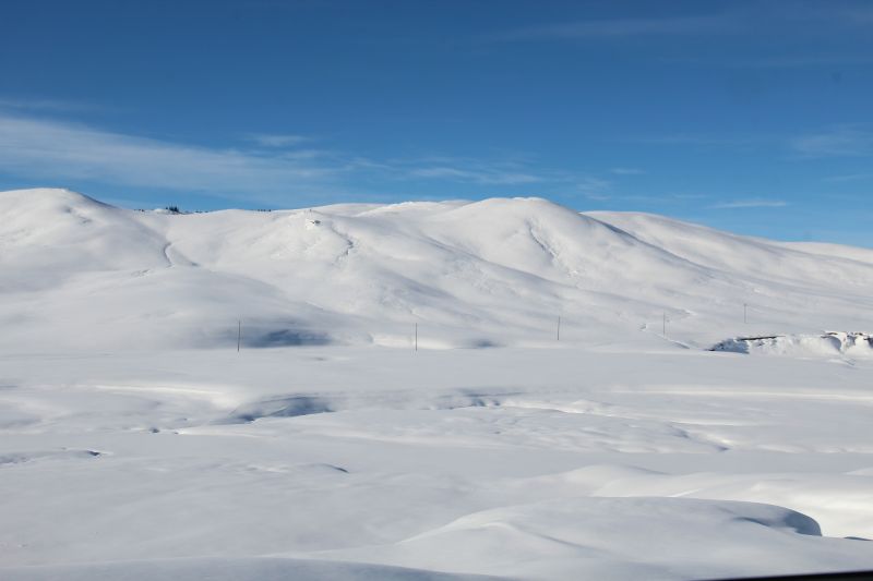 冰封雪地