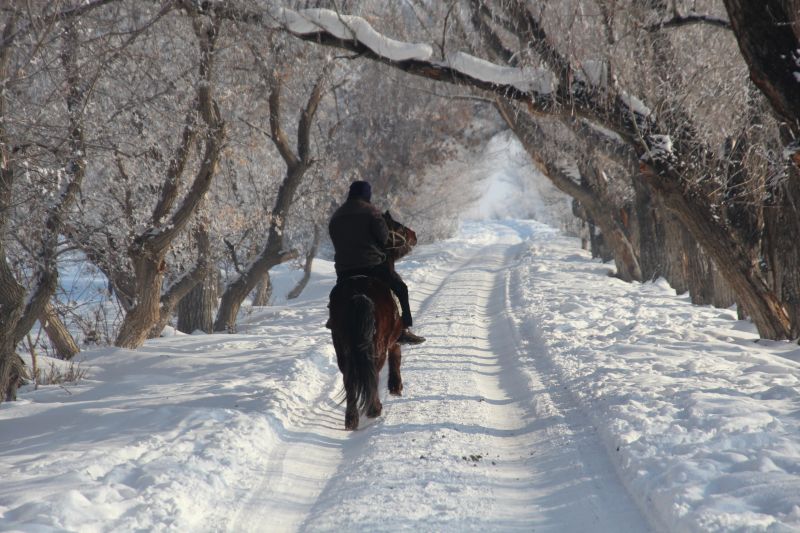 彷彿踏雪尋梅的景緻