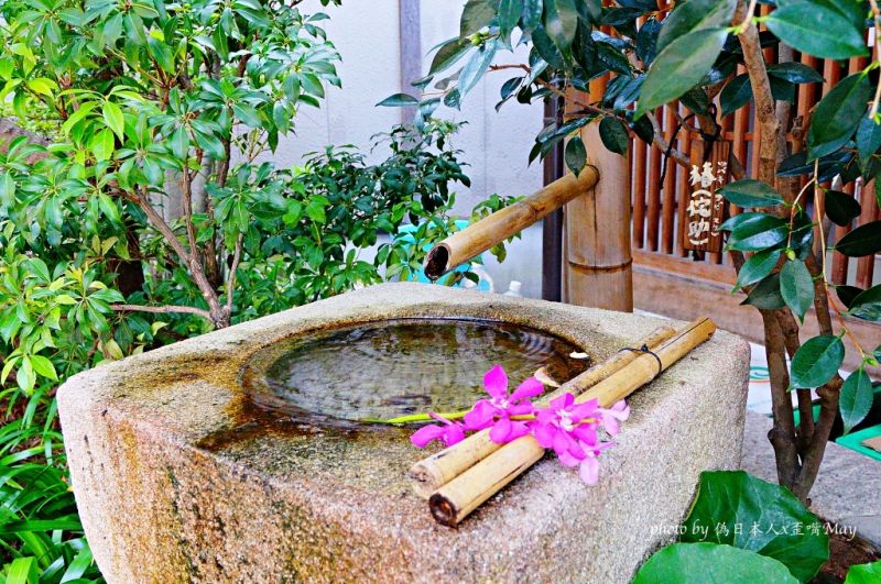 圖片來源:偽日本人May提供
