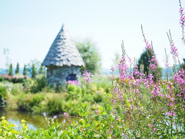 充分享受短暫的春夏吧!特選10處在北海道春夏能觀賞的絕景花田
