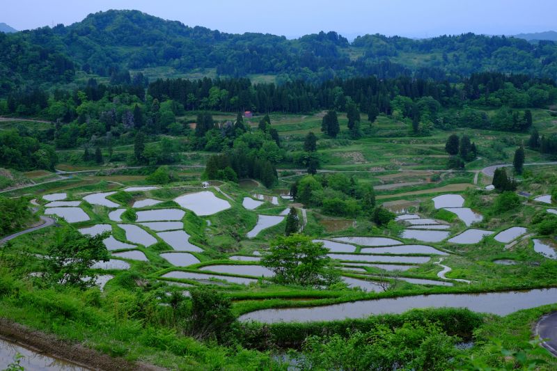 越後妻有的夢幻梯田,星峠梯田(flickr.com@M Murakami)
