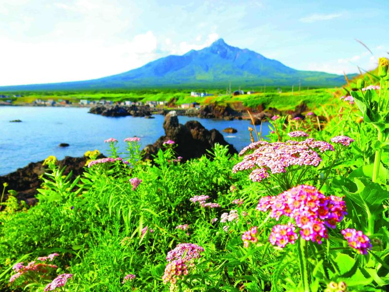 北海道稚內、利尻島:日本最北端、夢幻小島遊