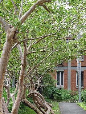張群宅士林官邸入口外觀(側面);圖片提供:徐明松
