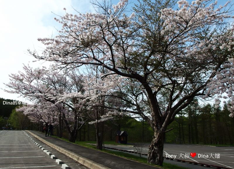 日本北海道 必吃必買必逛景點 五天四夜總行程詳細介紹(上)