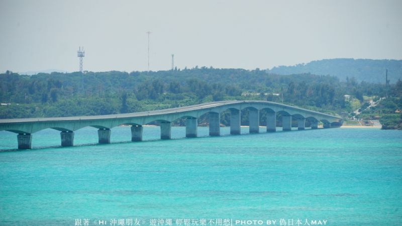 圖片來源:偽日本人May提供