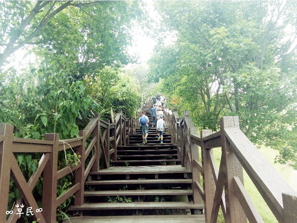 長城步道-祕密的綠色隧道