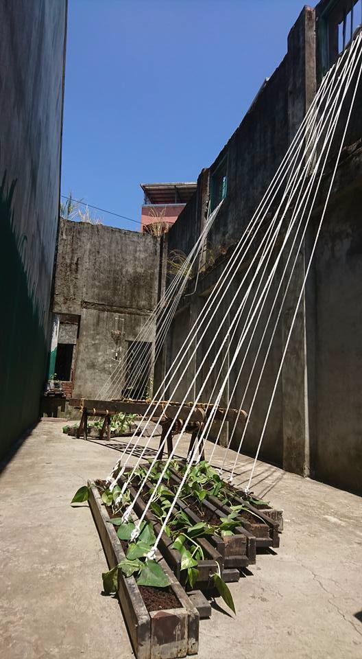在一棟閒置且無屋頂的老屋中,以如帆型的拉繩裝置,搭配現場所遺留的廢木植栽花槽等,軟化了這個閒置空間。