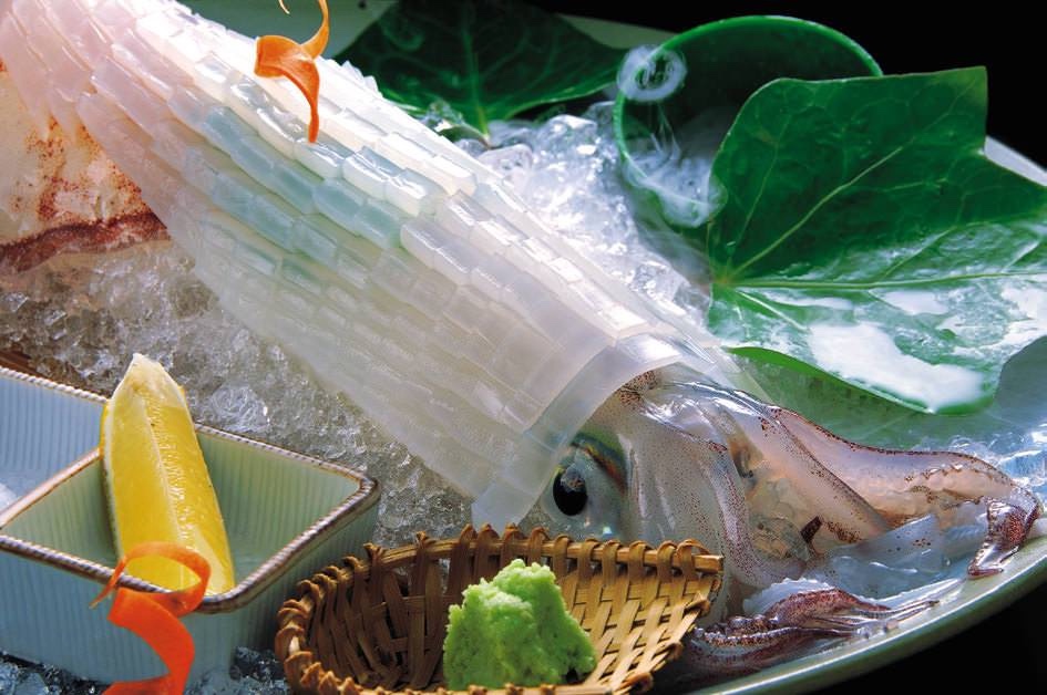 【日本廣島】活烏賊生魚片初體驗