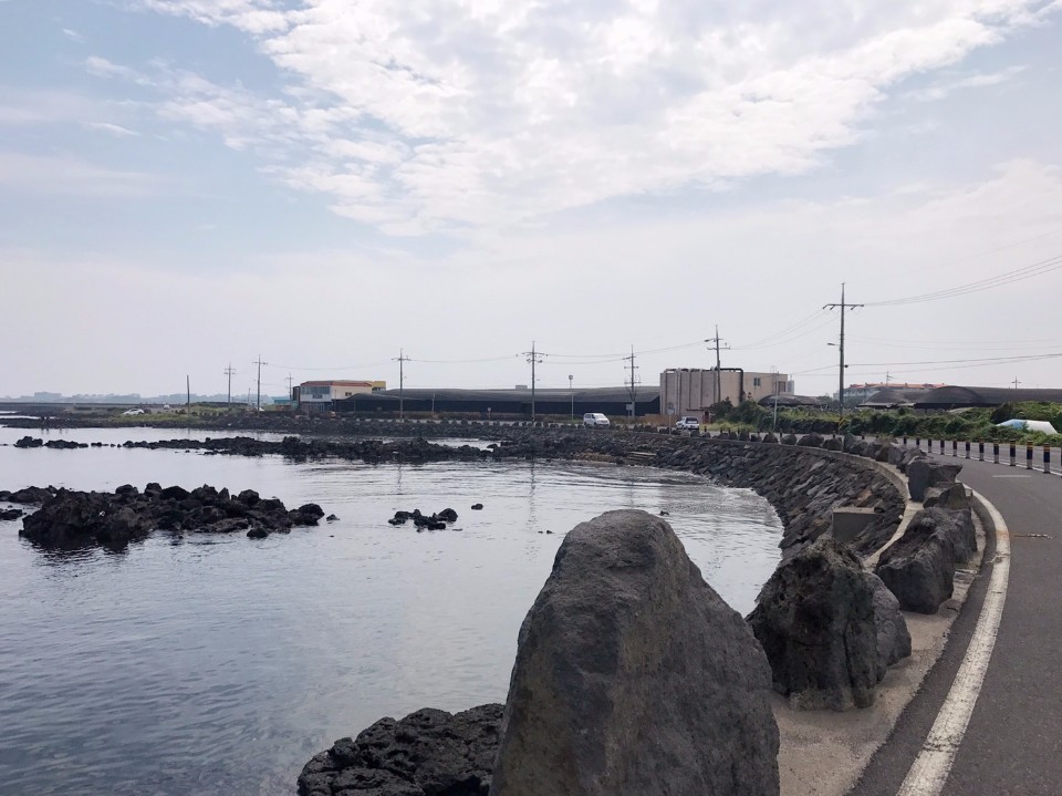 循著海岸線騎行,感覺真是太棒了!(photo by 百穗)