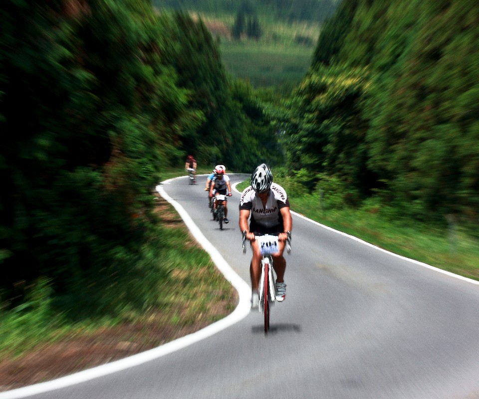 濟州除了海濱路線也有精實山路,等著車友來挑戰!( photo by 濟州觀光公社 )