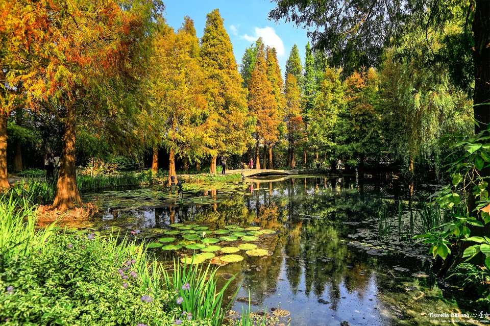 彰化菁芳園 圖攝/心星