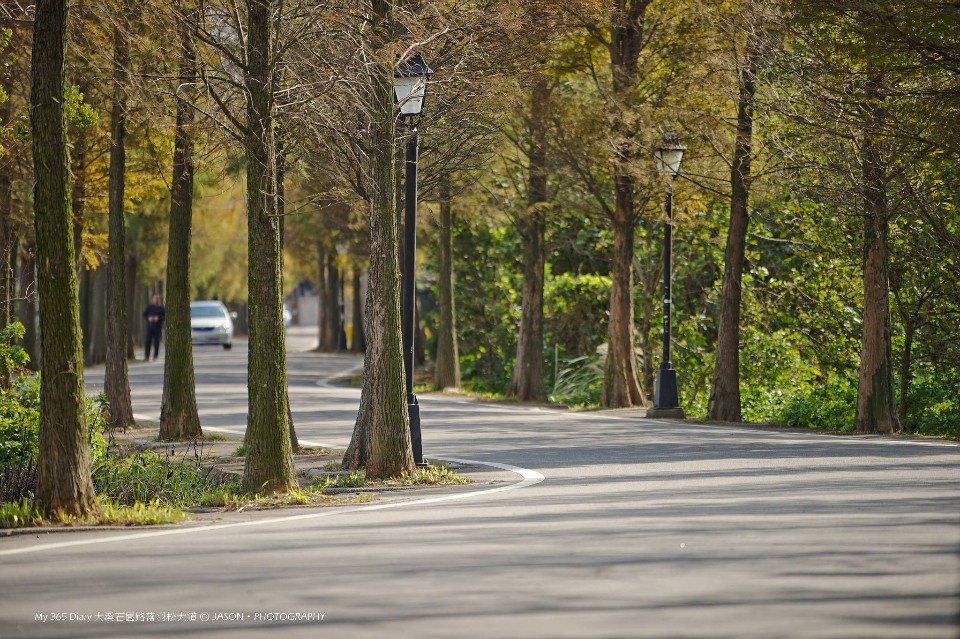 大溪石園路 圖攝/鄭傑森