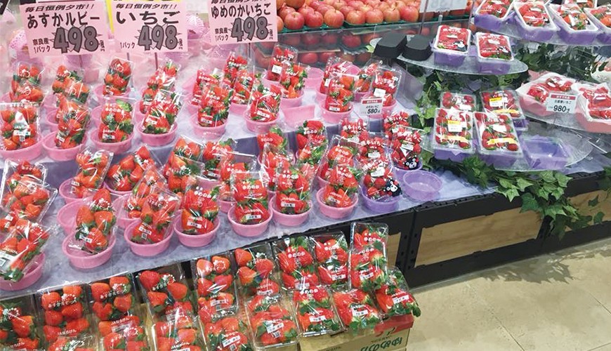 今年就決定來日本採草莓!快來品嚐奈良特產的三大夢幻草莓品種!