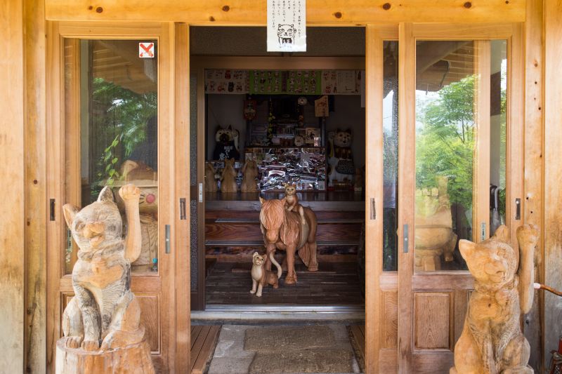 隐居山林的猫神社-云林寺-欣日本-欣传媒旅游频