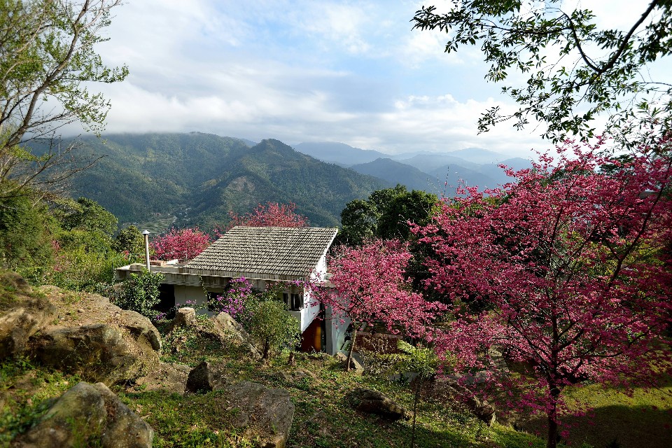 和光接物環境建築設計作品「橫山黃宅」