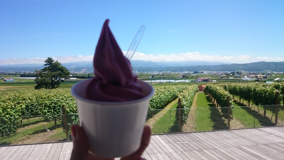 ﹝夏季富良野﹞置身於葡萄田裡的甜點店,地產地消,當地限定葡萄冰淇淋 -- カンパーナ六花亭