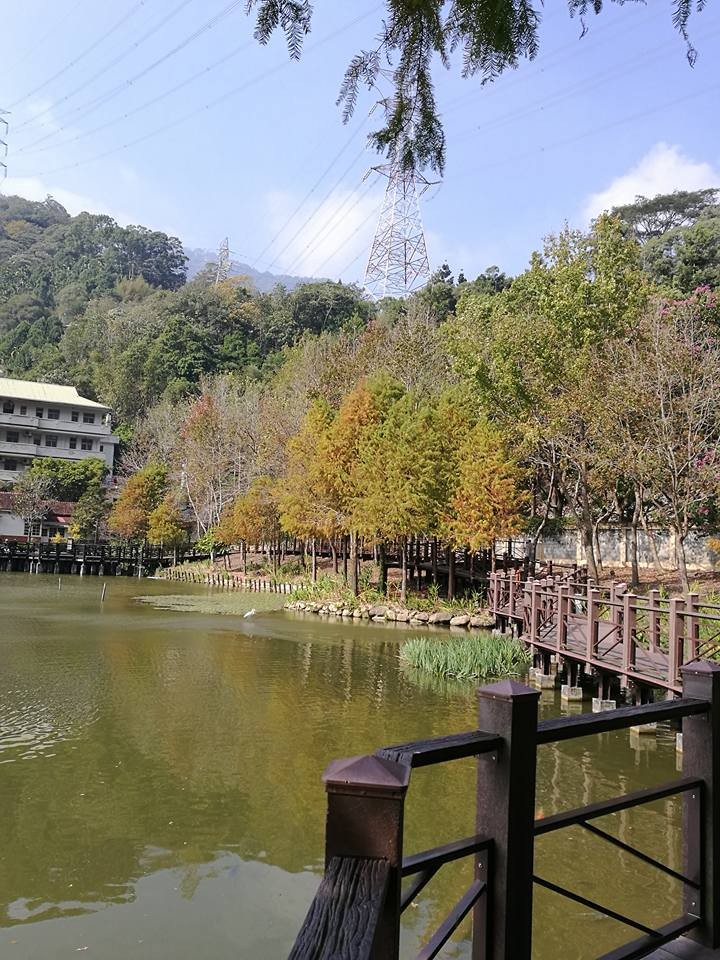 【南投景點】水里鄉。車埕車站 深山裡的絕美夢幻車站
