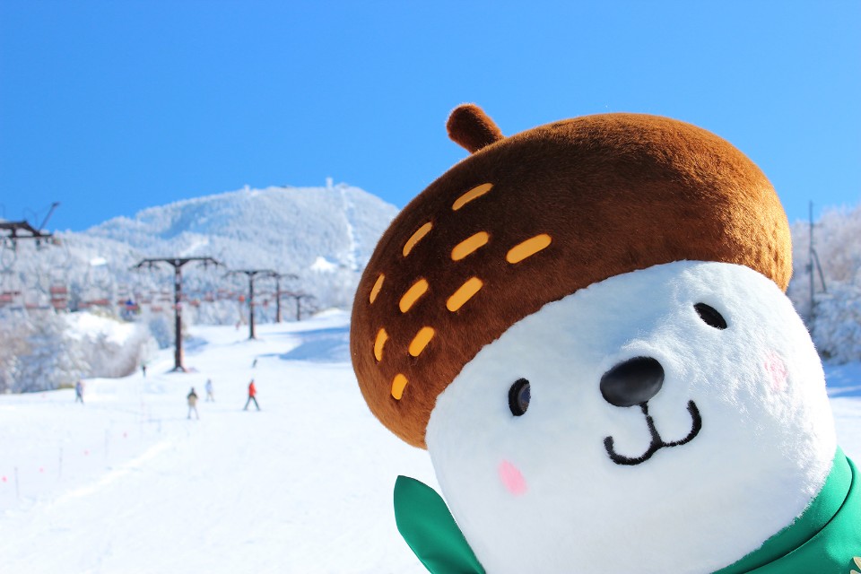 志賀高原 18/19 雪季 最新時刻 公佈