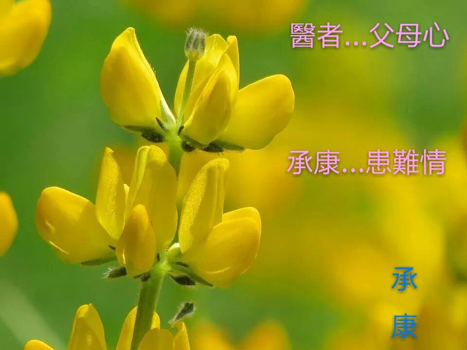 多年從事(殯葬)市場,接觸許多喪家,遺族,在互相的交流,接觸下,有些人性的真情,矯情,摯情