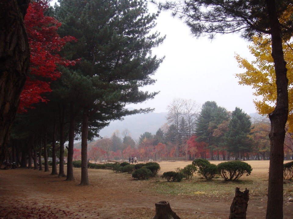 韓國-首爾賞楓-首爾塔\南怡島\愛寶樂園\清溪川,秋天好好拍
