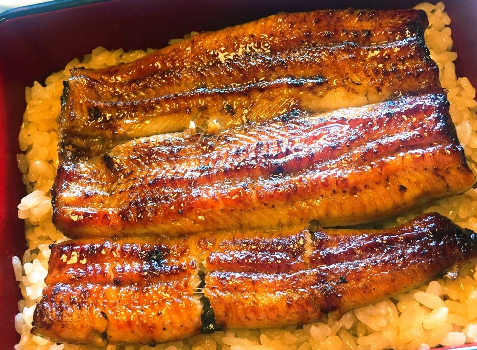 【東京】銷魂鰻魚飯米其林鰻魚料理推薦-伊豆榮