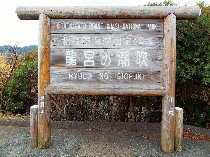 政治人物的搖籃 山口:日本美景 31,元乃隅稻成神社、龍宮與角島大橋