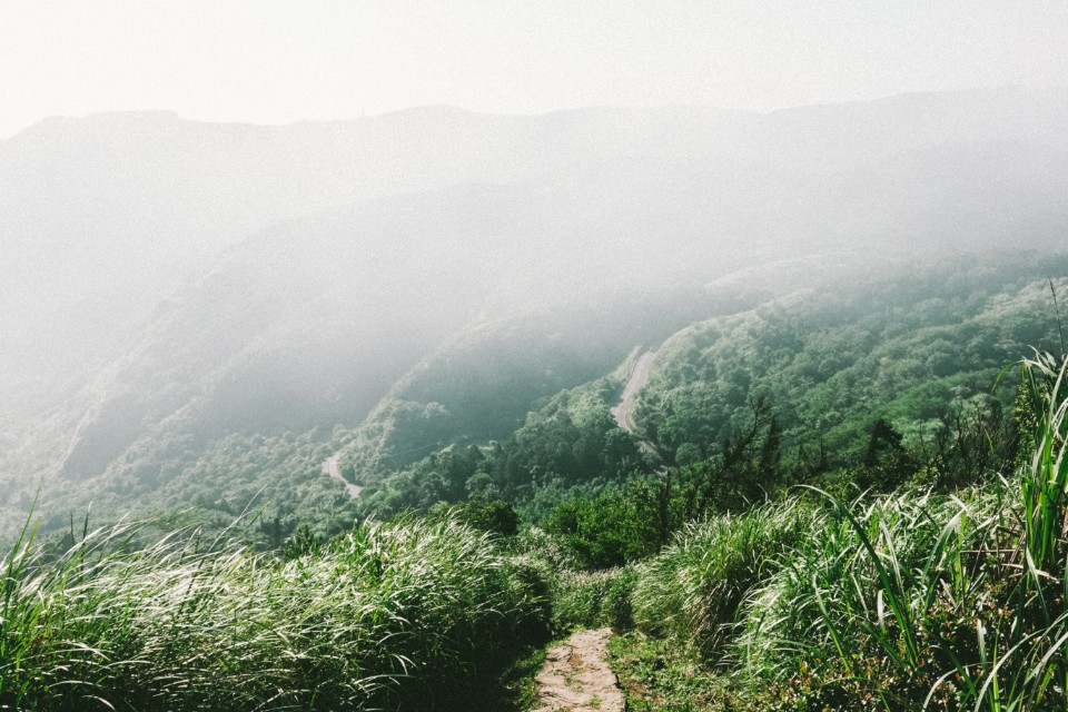 台北 陽明山 頂山石梯嶺步道
