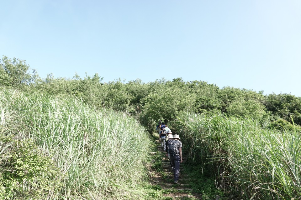 台北 陽明山 頂山石梯嶺步道