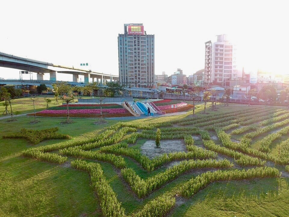 【旅遊】來新北五股防災體健公園賞花,流星景觀迷宮,彩紅花毯超吸睛