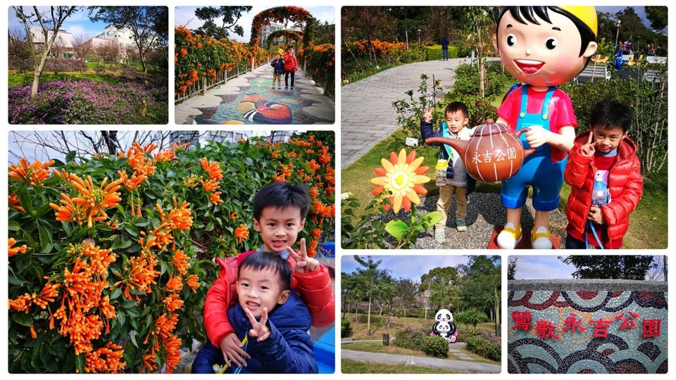 【新北景點】鶯歌區。永吉公園 炮仗花開到黃澄澄 過年走春好吉利 好拍好走好好玩