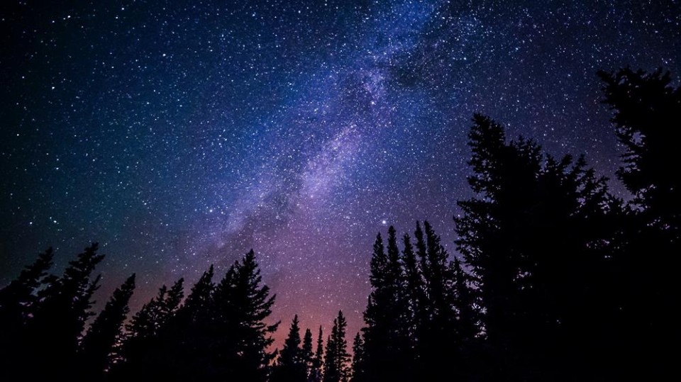 【阿里山賞櫻、觀星營】阿里山國家森林遊樂區星空體驗營,白天賞櫻、夜觀滿天星!
