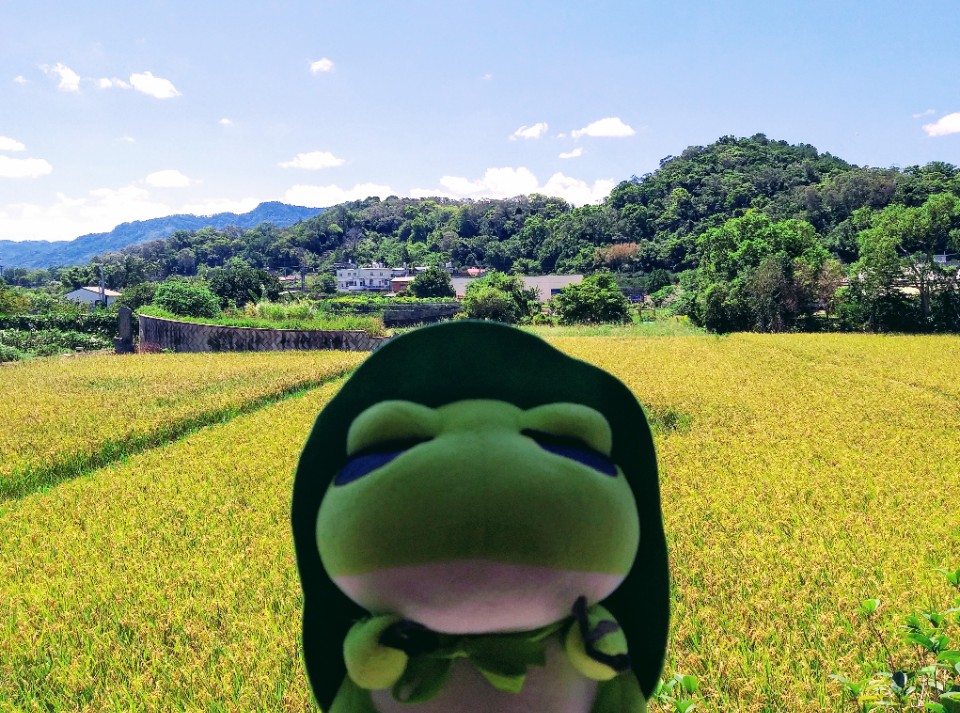 【關於】「花見團子玩耍趣」