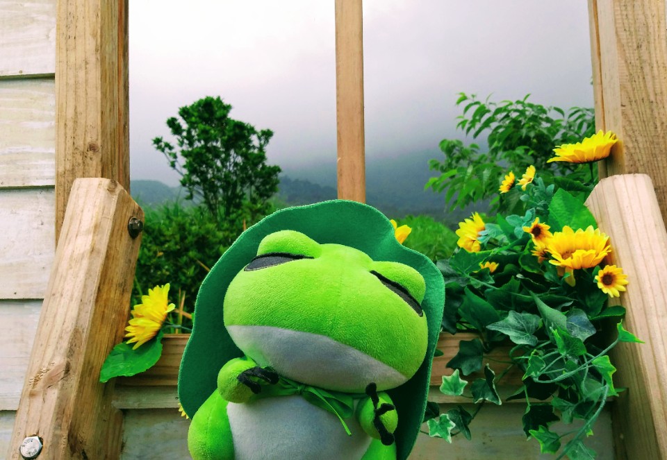 【關於】「花見團子玩耍趣」