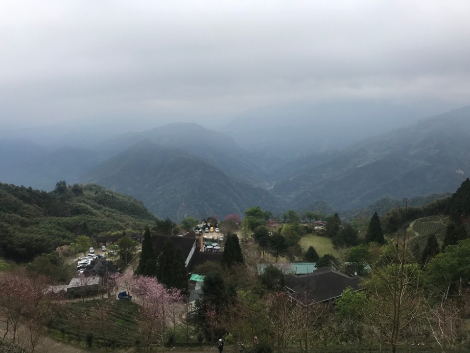 山上人家 * 櫻吹雪