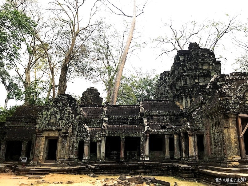柬埔寨︱吳哥窟之塔普倫寺 Ta Prohm:朝聖古墓奇兵拍攝地點
