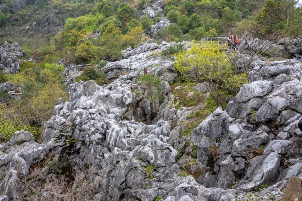 浙江秘境|被漫漫山路耽誤的常山美景 一起去三衢石林找刺激!