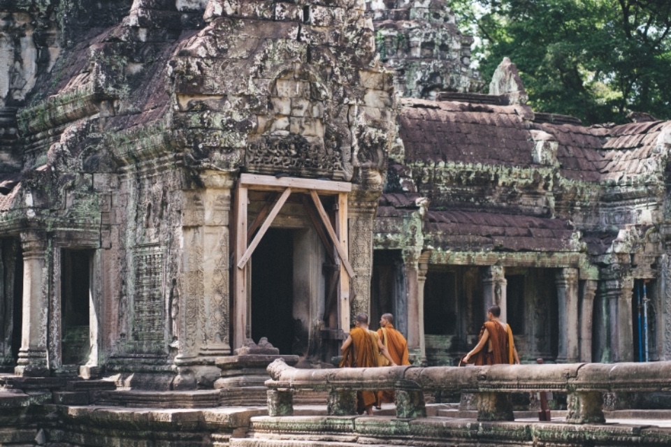 柬埔寨暹粒 塔普倫寺 Ta Prohm 古墓奇兵