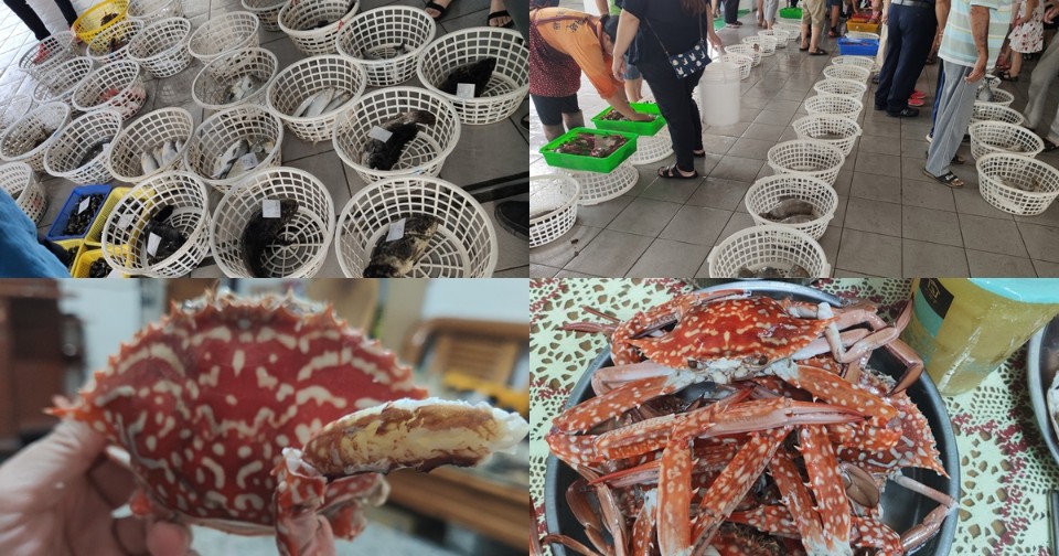 青鯤鯓青山漁港過癮大談花蟹、石頭蟹 還有特別的搶標秀