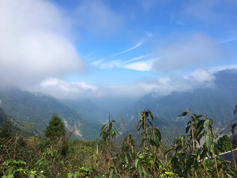 南庄鹿場部落×石壁部落×無負擔農場×峨眉環湖遊艇體驗 隨心所欲體會自然的美好 !
