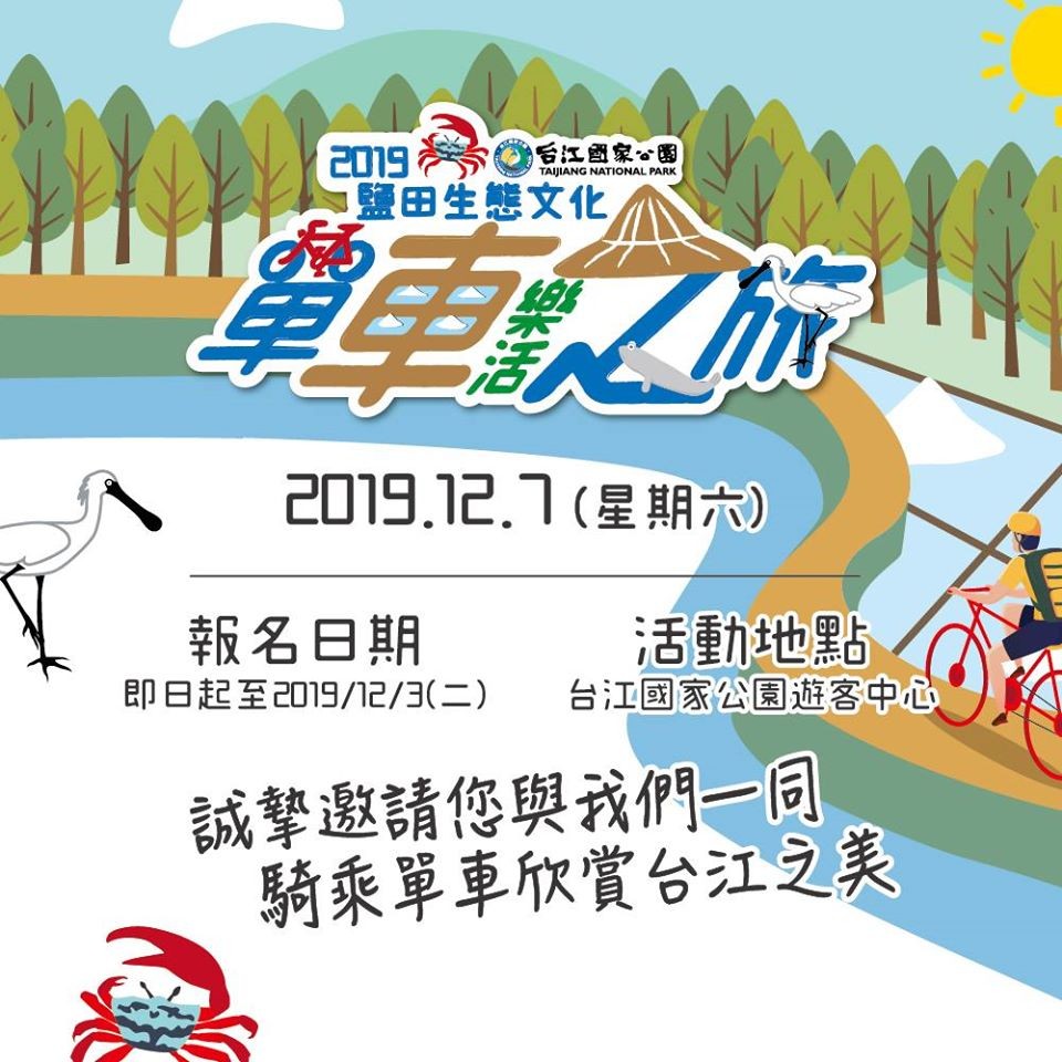 與黑琵有約 單車慢遊台江鹽田生態之旅
