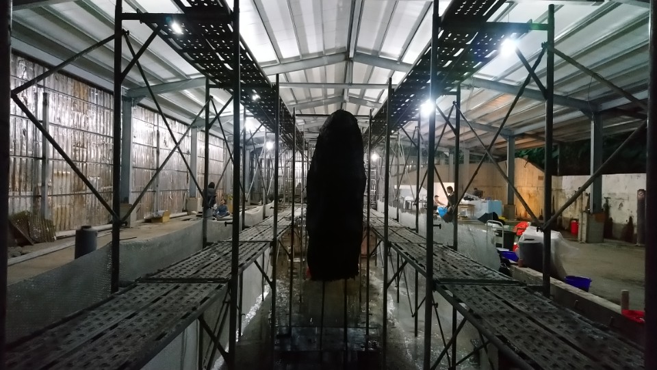 自然洋行曾志偉《台灣郊遊_原始感覺共同合作場域計畫》正式啟動進入試作階段!