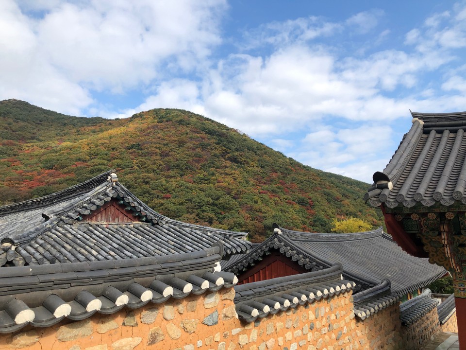 韓國釜山 ・梵魚寺・金井山中的韓國國寶